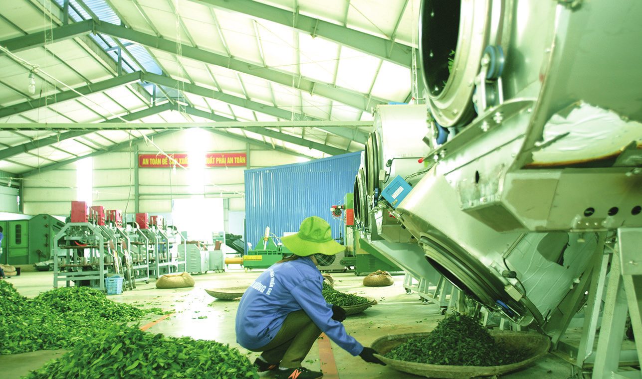 Toát mồ hôi lạnh chóng mặt buồn nôn là bệnh gì? Nguyên nhân và cách khắc phục