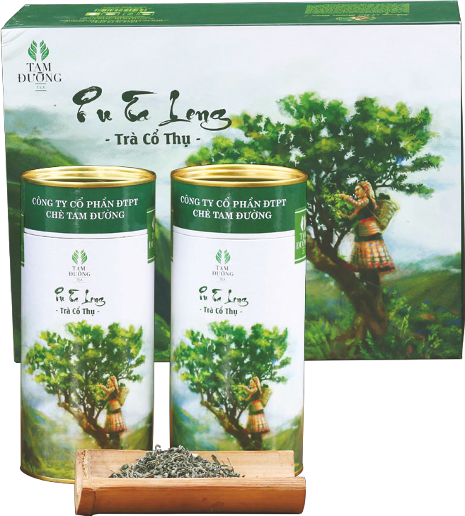 Tiểu đường thai kỳ uống sữa bầu được không? Một số lưu ý khi bà bầu sử dụng sữa