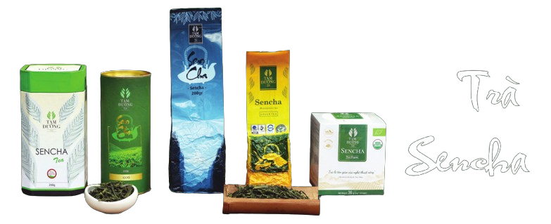 tra-sencha1